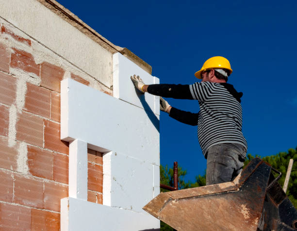 Best Professional Insulation Contractor  in Mount Rainier, MD