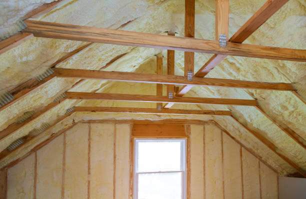 Best Attic Insulation Installation  in Mount Rainier, MD