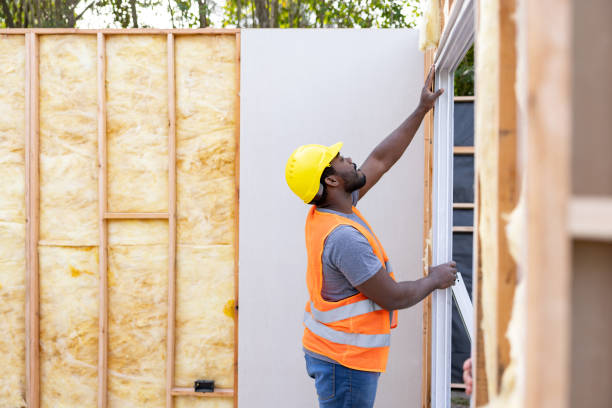 Best Best Insulation Companies  in Mount Rainier, MD