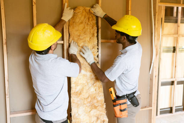 Garage Insulation Installation in Mount Rainier, MD
