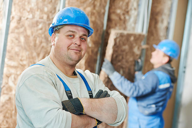 Best Best Insulation Companies  in Mount Rainier, MD
